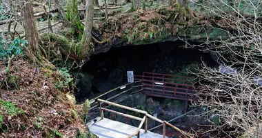 Entrée de la grotte