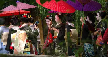 Les geisha rendent visite en petit groupe aux commerçants du quartier de Gion