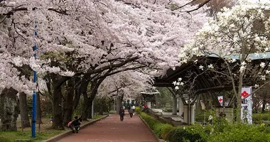 Tsutsujigaoka Park