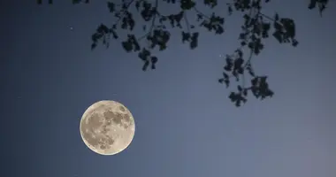 O-Tsukimi, la fête de la lune au Japon