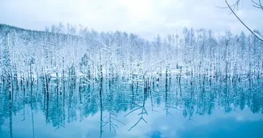 The blue pond of Biei