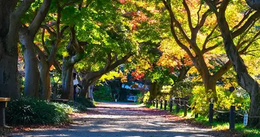 jardin botanique de Koishikawa