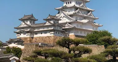 Japan Visitor - himejicastle20181.jpg