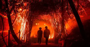 Japan Visitor - islandlumina2.jpg