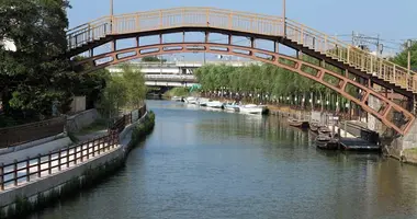 Japan Visitor - itako20181.jpg