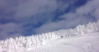 Japan Visitor - japanski20195.jpg