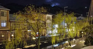 Japan Visitor - kinosakionsen20193.jpg