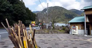 Japan Visitor - nachi4.jpg