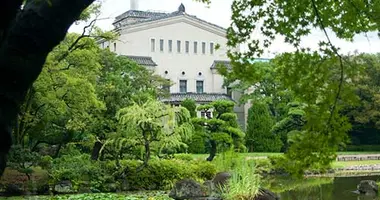 Japan Visitor - ocmfa-1.jpg