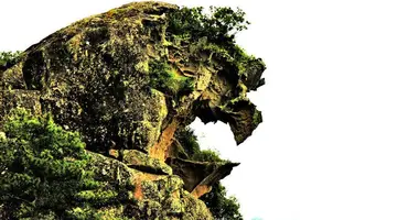 Japan Visitor - shingu1.jpg