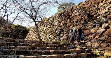 Japan Visitor - sumotocastle3.jpg