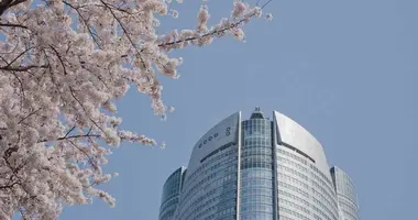 Japan Visitor - tokyo-hanami-2.jpg