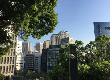 Trees in front of high buildings in Akasaka in Tokyo 