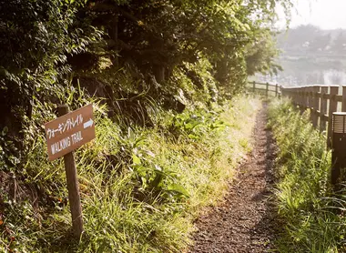 Sendero cerca del lago Kawaguchiko
