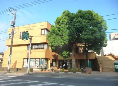 Mito City Central Library & Mito City Museum