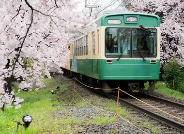 Train in Japan ... Or many other trains and buses all over Japan!