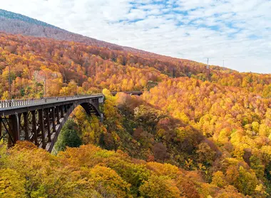 Bridge among forest during fall season, Aomori prefecture