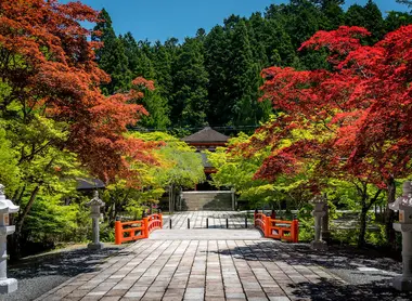 Beautiful nature and autumn foliage in Koyasan sacred valley