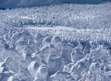 Monstruos de nieve se forman en Zaō Onsen, Tōhoku, Japón Monstruos de nieve se forman en Zaō Onsen, Tōhoku, Japón