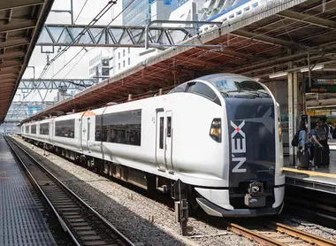 N'EX, Narita Express