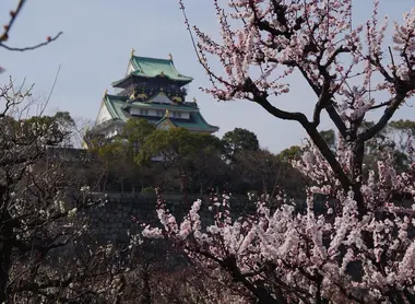 Osaka Osaka