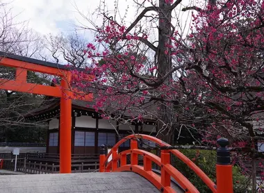 Shimogawamo jinja, Kyoto Shimogawamo jinja, Kyoto