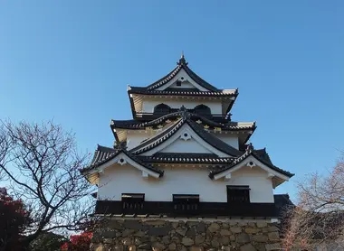 Hikone Hikone