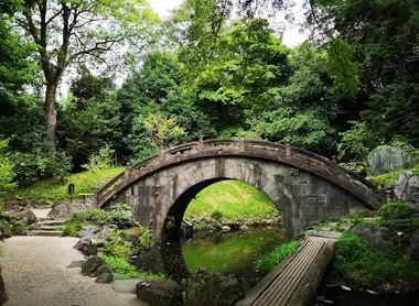 El jardín botánico Koishikawa, Tokio El jardín botánico Koishikawa, Tokio