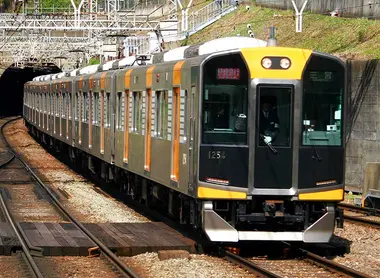 Hanshin Rapid Express Kosoku Train Hanshin Rapid Express Kosoku Train