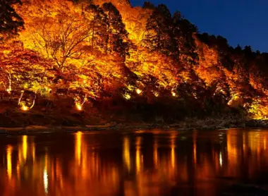 Illuminations de nuit dans la vallée de Korankei Illuminations de nuit dans la vallée de Korankei