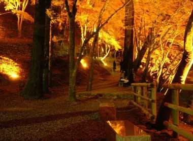 Illuminations de nuit dans la vallée de Korankei