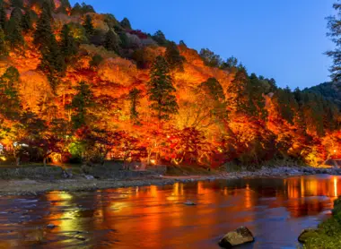 Illuminations de nuit dans la vallée de Korankei