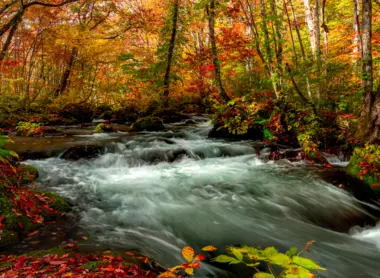 Oirase gorges Oirase gorges