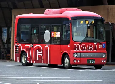 Hagi Loop Bus 2