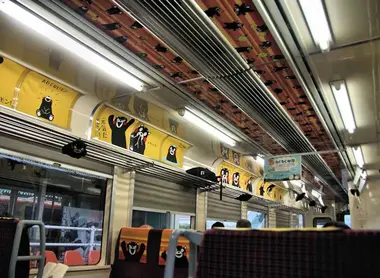 Hisatsu Train Interior