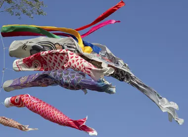 The carp streamers Chidlren Day