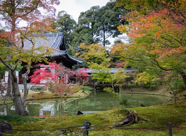 Kodaji Kodaji