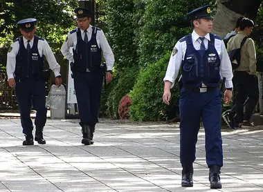 police police