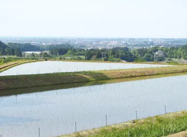 View of the sea looking to the one side from the brewery