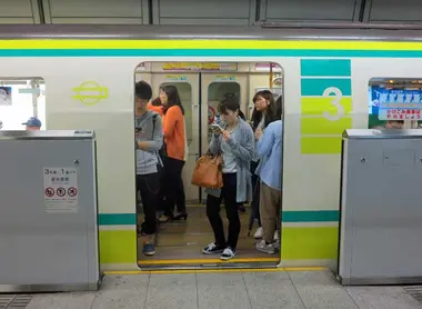 Nagahori Tsurumi-ryokuchi Line Train