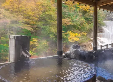 Onsen avec vue sur la forêt