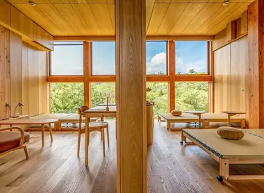 A pretty, soothing room with natural sunlight