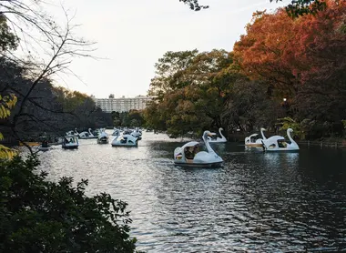 Bateau cygne à Tokyo