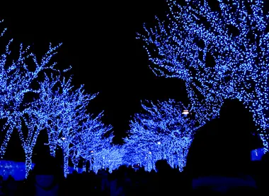 Illuminations à Shibuya