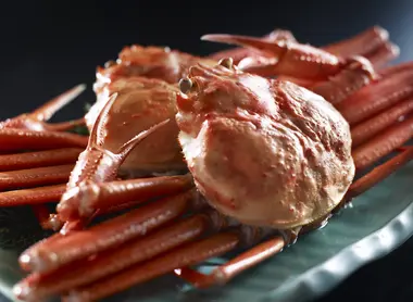 Snow Crab of Kinosaki