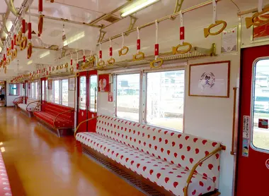 Medetai train pink inside