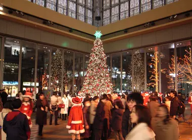 Sapin de Noël Kyoto