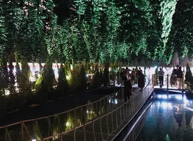 "The Nature Above" by Leandro Erlich