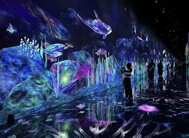 Catching and Collecting Forest, Teamlab Planets 