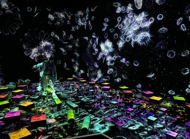 Catching and Collecting Forest, Teamlab Planets 